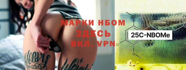 СК Елизово