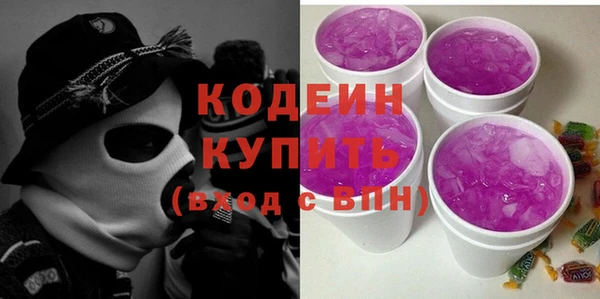 СК Елизово