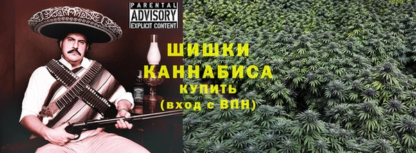 СК Елизово