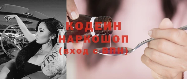 СК Елизово