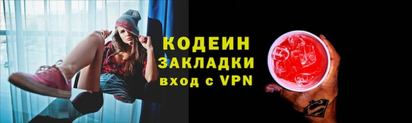 СК Елизово