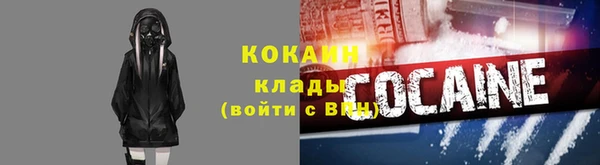 СК Елизово
