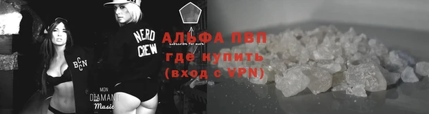 СК Елизово