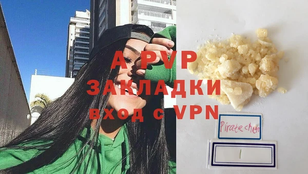 СК Елизово