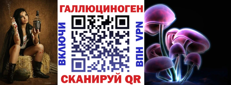 Купить закладки  Бор  Псилоцибиновые грибы GOLDEN TEACHER 